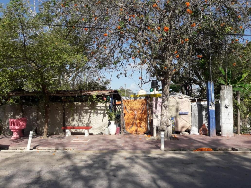 Hostal Y Camping Las G Bacalar Zewnętrze zdjęcie